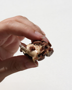 Mixed Tray - Filled Biscuit